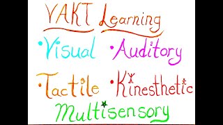 Day 6   VAKT Learning Styles ~ Easy Learning with Auditory, Visual, Kinesthetic, & Tactile learning