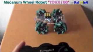 Mecanum Wheel Robot 