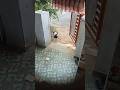 என்னை கான வந்த முருகன் ்்்