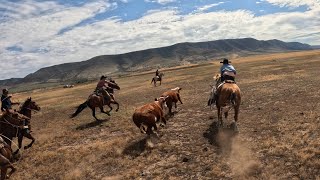 Roping Frenzy at the End