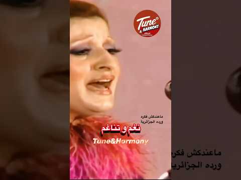 فوق الحب بحبك حب عجيب ماعندكش فكره وردة الجزائرية نغم وتناغم Shorts Short حالات واتس ترند 