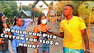 Would you Pick cotton for 250$ / hr 🤔 Waveywuantv *gets disrespectful 😳