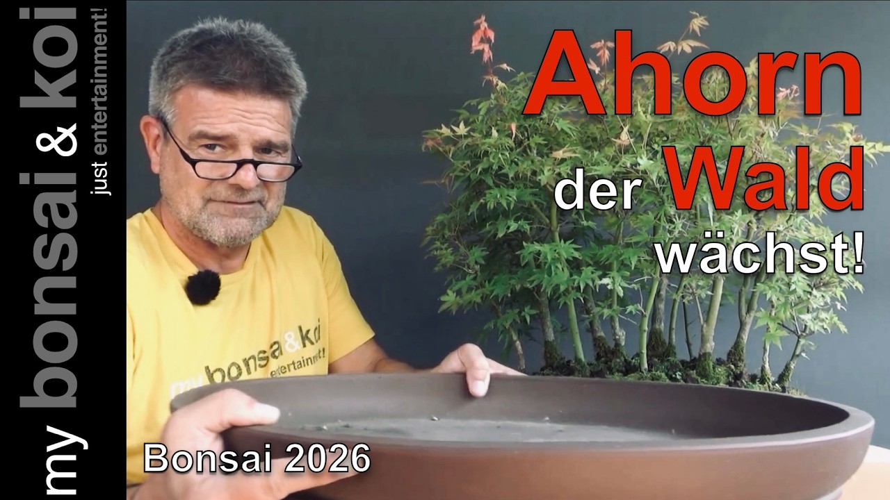 diamond painting bonsai Bonsai Tree CSw423 Diamond Painting on Plywood Kit  Quirks!