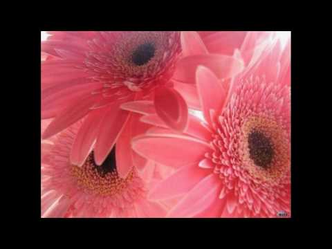 Krystyna Prońko-Małe tęsknoty
