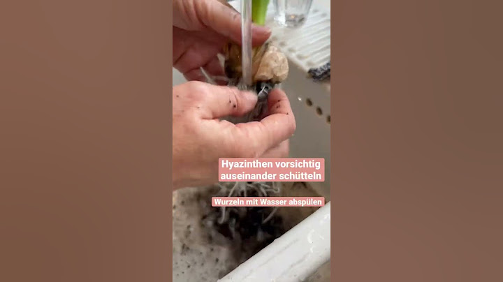 Die perfekte Frühlingsdeko 🤩 - Dekoidee mit Ginster & Hyazinthen - SO EINFACH