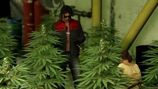 GTA 5: MARIJUANA FARM UPDATE