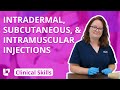 Intradermal Subcutaneous And Intramuscular Injections Clinical Nursing Skills LevelUpRN Intradermal Subcutaneous And Intramuscular Injections Clinical Nursing Skills LevelUpRN