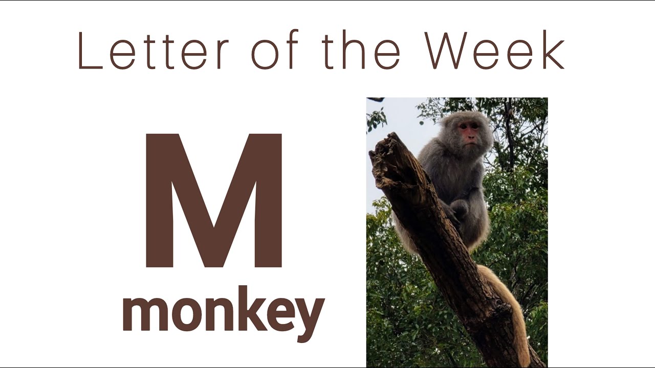 Letter of the Week | Letter M - YouTube