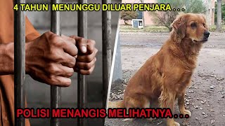 Anjing Ini Menunggu Majikannya Di Luar Penjara Selama 4 Tahun! Polisi Akhirnya Menangis dan