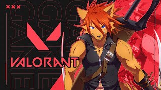 【 #valorant  】久しぶりのソロヴァロ【箱 庭師/VTuber】