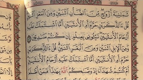 صحح قراءتك آية 143 صفحة 147 بالتجويد للمبتدئين سورة الأنعام