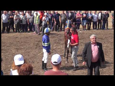 Видео: Предотвратяване на катастрофални наранявания в конни надбягвания