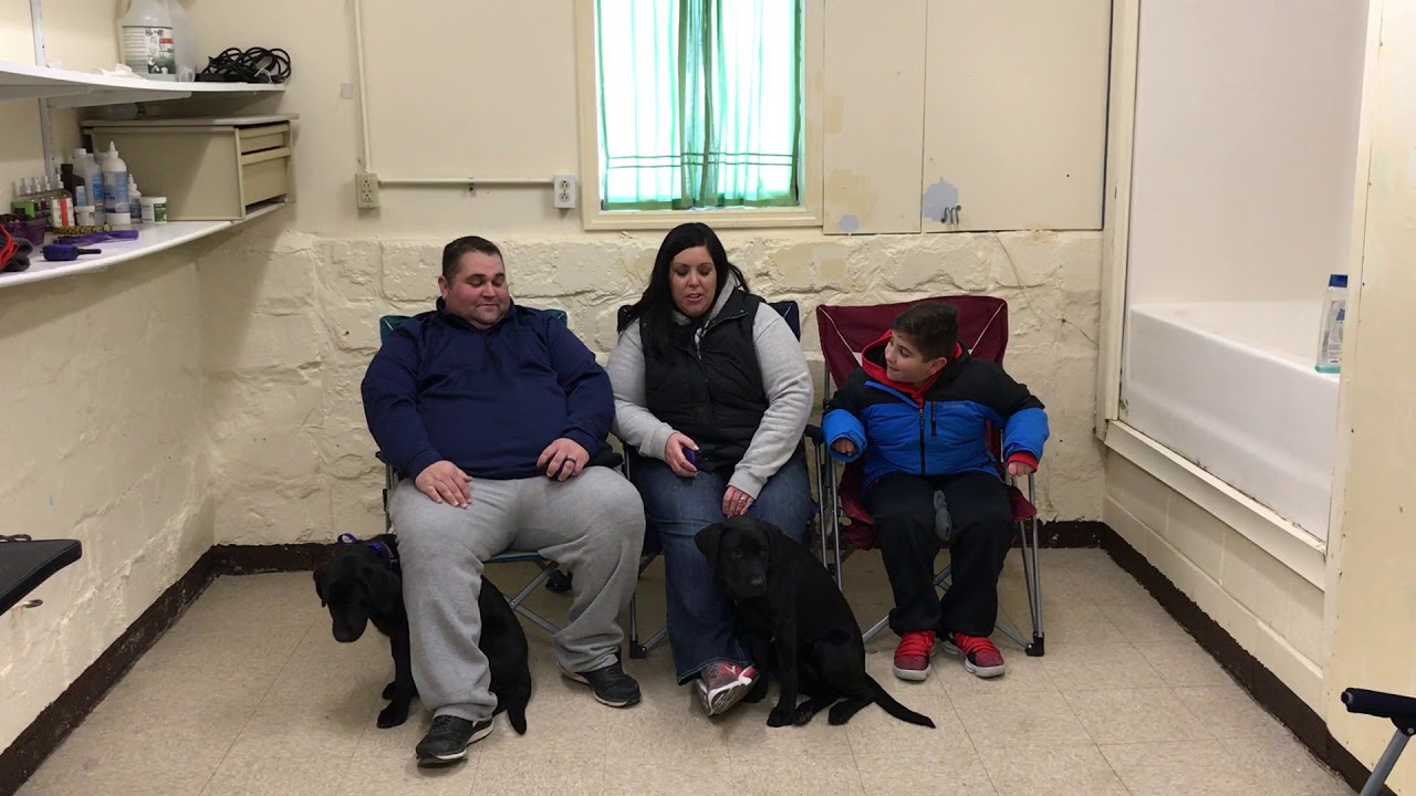 HARPER AND HOLLIE'S OWNERS TESTIMONIAL puppy training crate schedule