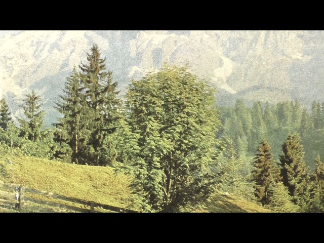 Peppi Hallmannsegger - Alpspitz Jodler