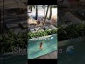 Shri-Lanka is 🌊🌴🌴🌴