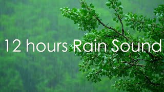 Nature's Serenade: Rainfall Relaxation for Ultimate Tranquility