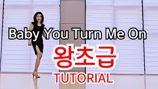 Baby You Turn Me On Line Dance 💕TUTORIAL 스텝설명  /왕초급라인댄스