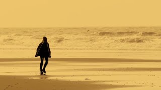 The Imposter - Donna Lewis - Holmes Ives