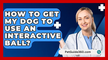 How To Get My Dog To Use An Interactive Ball? - PetGuide360.com