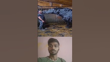 #babifreitas #andrast. #nivetahingramusic #azhari #tutorialfilter