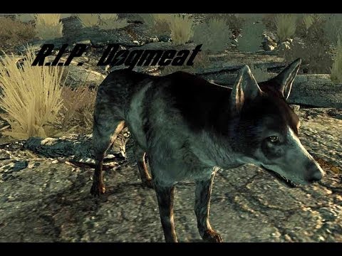 Dogmeat Dogmeat