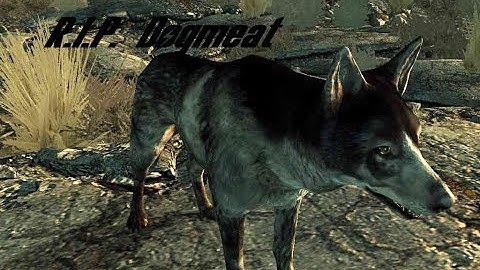 Fallout 3 - Unarmed Badass Build - R.I.P Dogmeat
