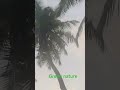green 💚