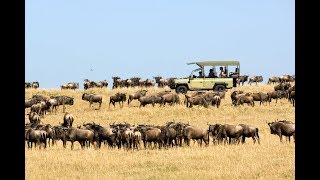 The Great Migration Experience at Olakira Camp