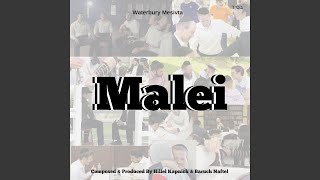 Video thumbnail of "Waterbury Mesivta - Malei"