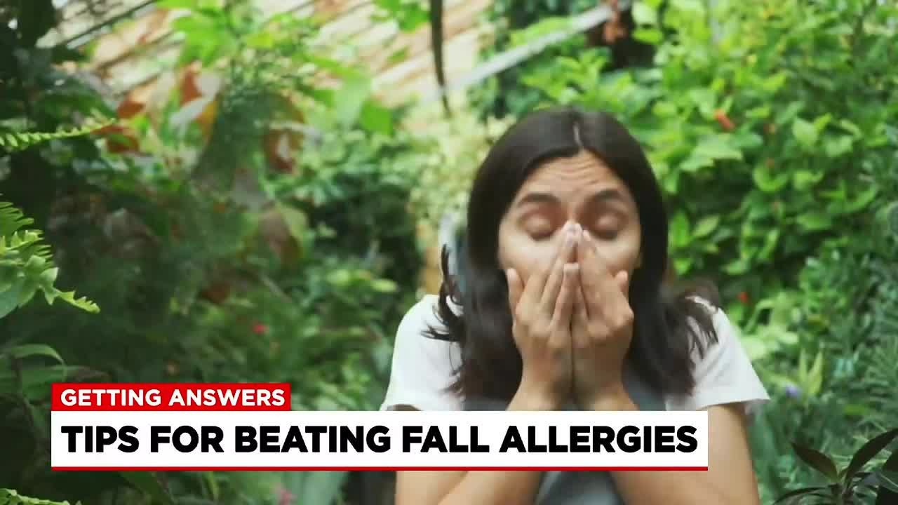 Immunology expert discusses fall allergen forecast - Western Mass News