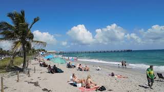 Detailed Dania Beach Pier Webcam Highlights Profile