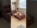 省スペース✨1人用ソファベッド｜お部屋の角にもぴったり🛋️#sofa #sofabed #shorts #おうち時間