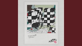 Stray - Tuccillo