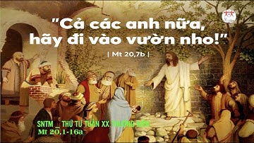 Suy niệm Lời Chúa | Thứ Tư tuần XX Thường Niên | Mt 20,1-16a | Lm Ant. Nguyễn Cao Siêu SJ