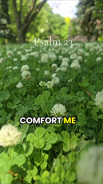 Psalm 23 The Lord is my Shepherd