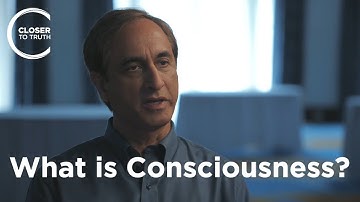 Subhash Kak - What is Consciousness?
