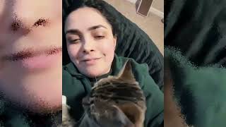 Stray Cat Chooses a Woman And Cuddles Her, Insisting On Adoption