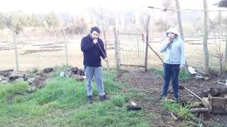 tocando ñolkin con el peñi cristian