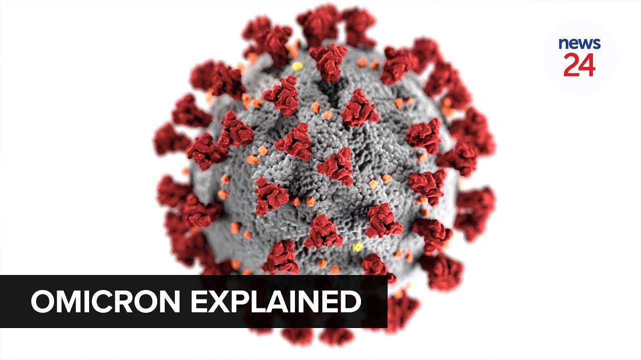 WATCH | Omicron variant explained: What we know so far