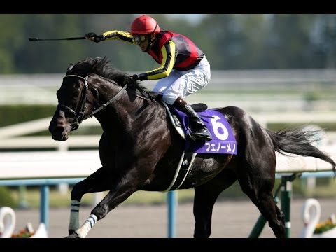 競馬 第150回 天皇賞秋 フェノーメノ ストラップ JRAホームページ｜データファイル｜競走成績データ