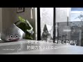 ［増やす力より守る力］資産を守るために私がやっていること7選｜サイドFIRE｜セミリタイア｜蓄財系ミニマリスト