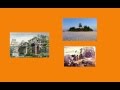 Characteristics and Contributions of Civilizations