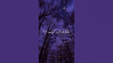 القرآن الكريم "سورة الشعراء الآية (٢١٨)" القارئ#راشد_الحيبة