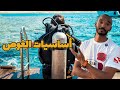 رحلتي في عالم الغوص مهارات PADI المفتوحة Modrar 