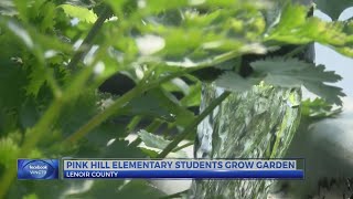 Pink Hill Elementary students get hands-on farming experience