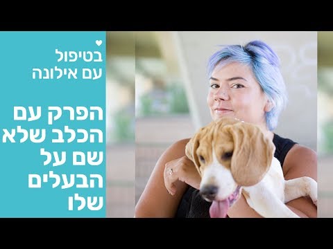 וִידֵאוֹ: דלקת בקרנית (קרטיטיס לא כיבית) אצל כלבים