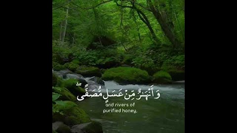 تلاوة هادئة🌹 للقارئ أحمد خضر