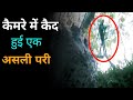 कैमरे में कैद हुई एक असली परी | real fairy caught on camera in hindi | real fairy video by u4u |