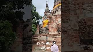 Buddha stupa of Bangkok #watthai #bangkok #temples #pattaya #thailand #buddha #subscribe