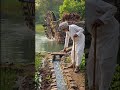 “बिना बिजली खेत तक पानी 😳 | देसी जुगाड़ Water Wheel 🔥”